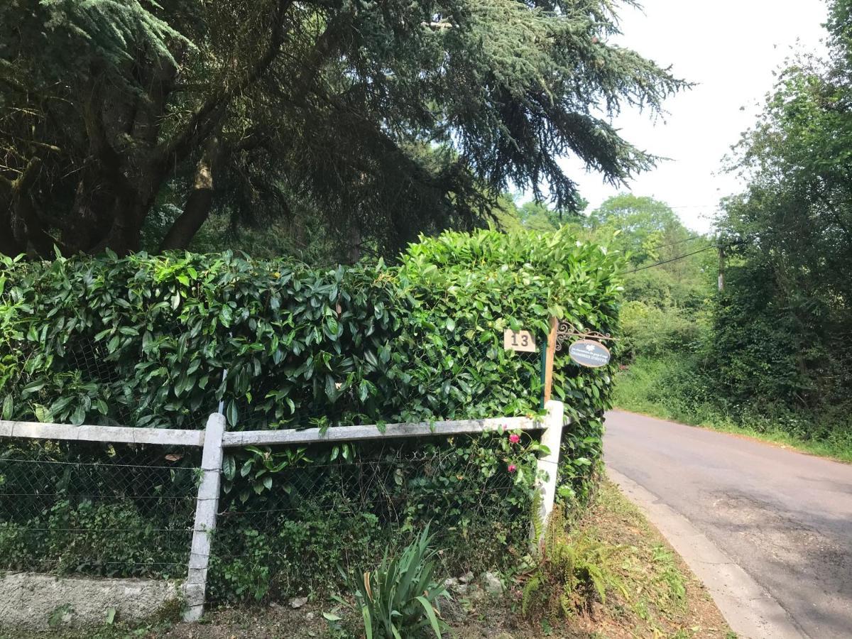 Les Chaumieres Du Pays D'Auge Bed & Breakfast Le Breuil-en-Auge Eksteriør bilde