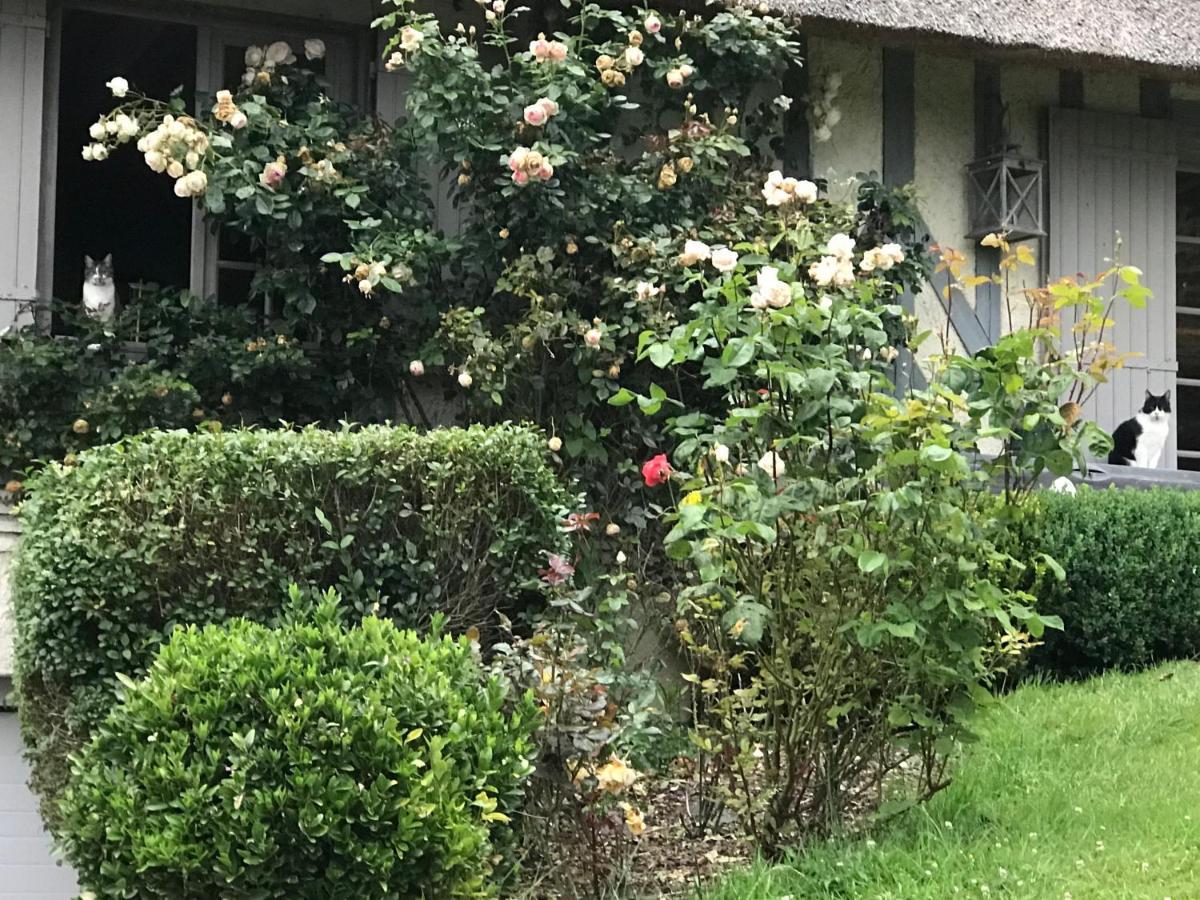 Les Chaumieres Du Pays D'Auge Bed & Breakfast Le Breuil-en-Auge Eksteriør bilde